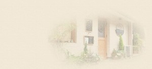top_bg01
